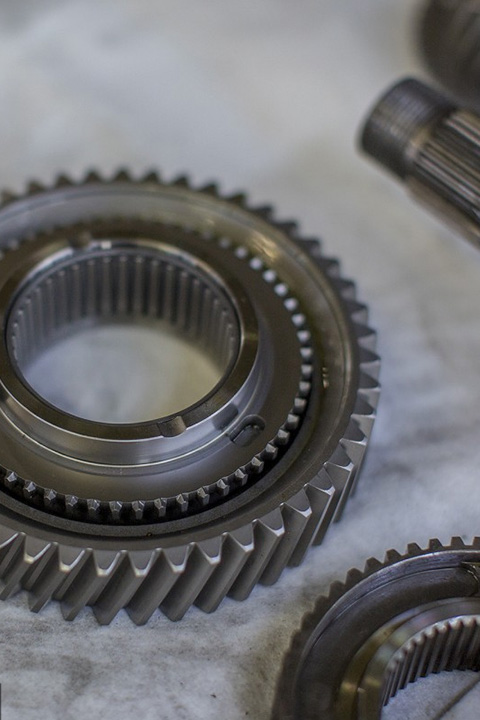 Gears & Bearings